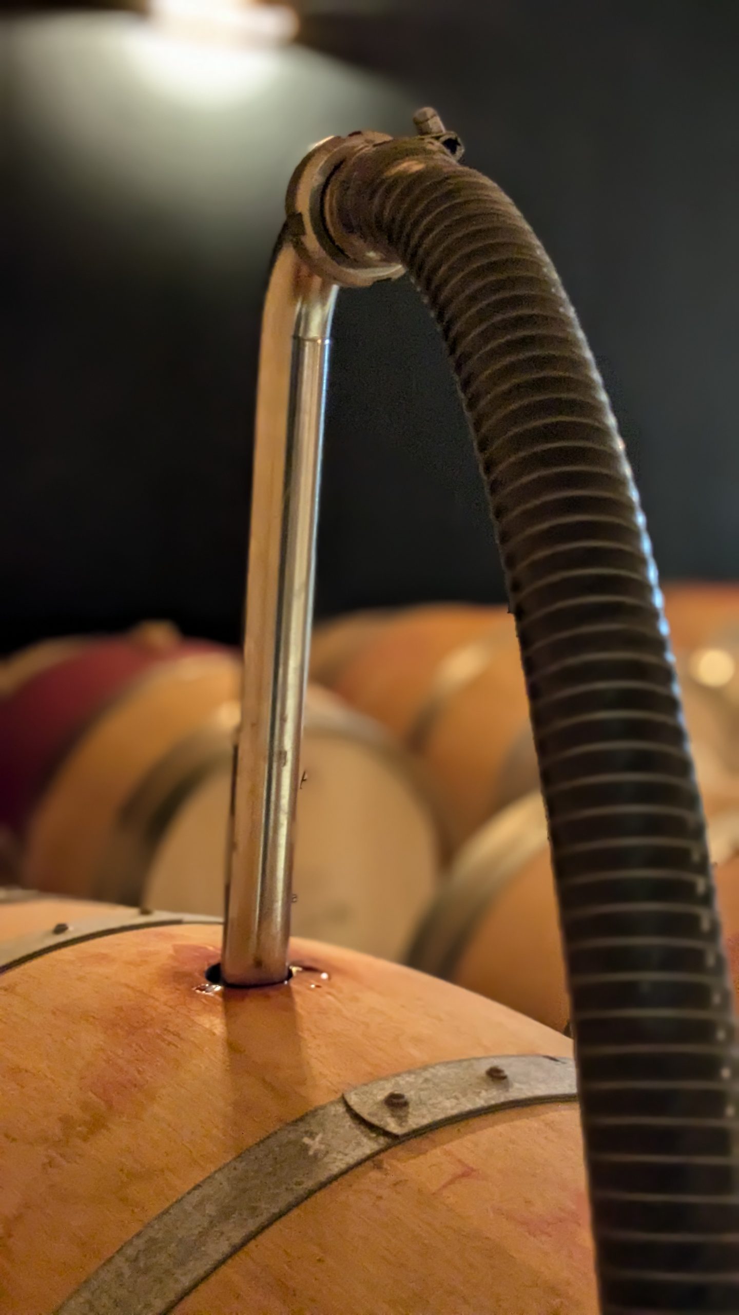 jean voisin saint émilion grand cru